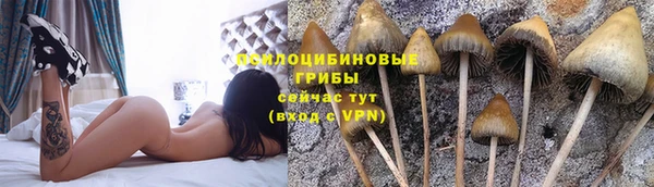 не бодяженный Михайлов